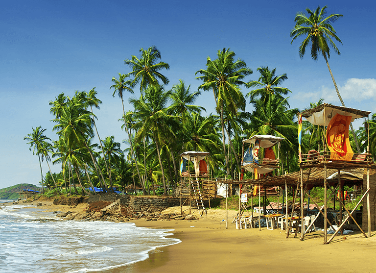 Beach lovers, Party-goers