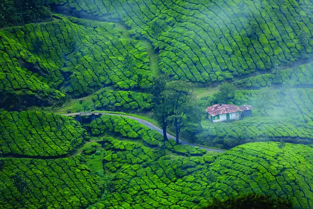 Nature seekers, Honeymooners