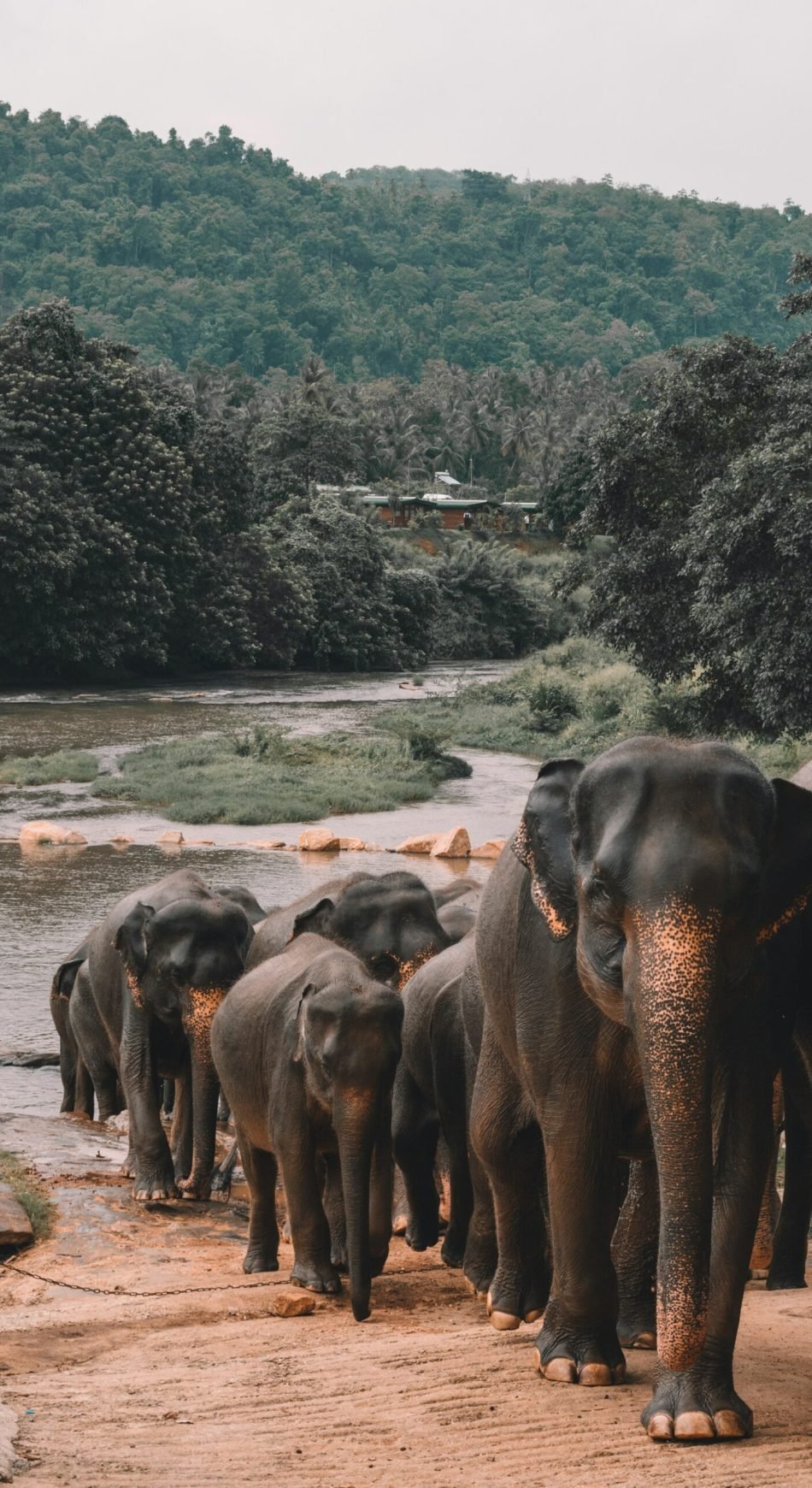 alex-azabache-hZhhVLLKJQ4-unsplash